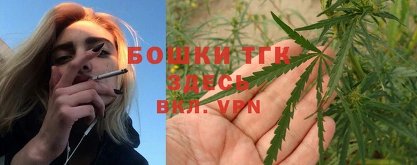 дмт Няндома